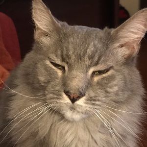 Meet your Posher, Gregg